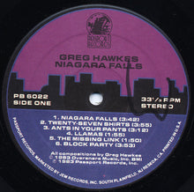 Load image into Gallery viewer, Greg Hawkes | Niagara Falls