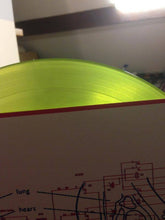 Load image into Gallery viewer, The Brian Jonestown Massacre | Don't Get Lost (New)