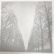 Load image into Gallery viewer, The Feelies | In Between (New)