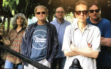 Load image into Gallery viewer, The Feelies | In Between (New)