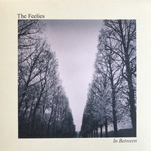 Load image into Gallery viewer, The Feelies | In Between (New)