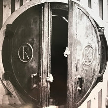 Load image into Gallery viewer, Damaged Bug | Bunker Funk (New)