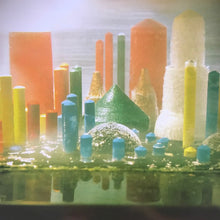 Load image into Gallery viewer, Damaged Bug | Bunker Funk (New)