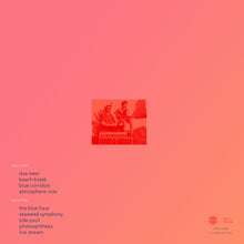Load image into Gallery viewer, Dexter + Franz | Panoramic Highway PREORDER
