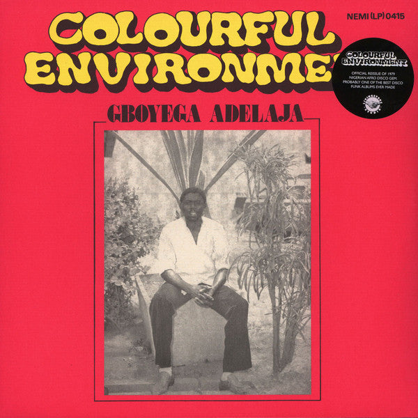 Gboyega Adelaja | Colourful Environment (New)