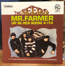 Load image into Gallery viewer, The Seeds | Mr. Farmer / Up In Her Room 4#14 (New)
