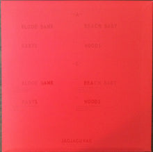 Load image into Gallery viewer, Bon Iver | Blood Bank (New)
