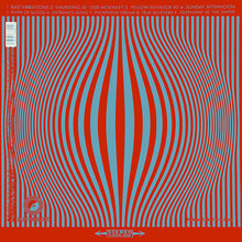 Load image into Gallery viewer, The Black Angels | Phosphene Dream (New)
