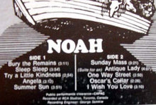 Load image into Gallery viewer, Noah (19) | Noah
