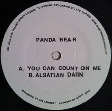 Load image into Gallery viewer, Panda Bear | You Can Count On Me
