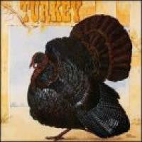 Load image into Gallery viewer, Wild Turkey | Turkey
