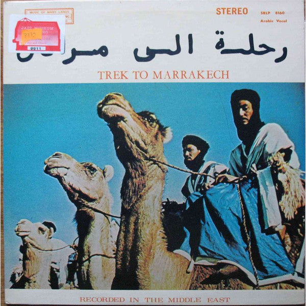 Street Musicians Of Marrakech | Trek To Marrakech