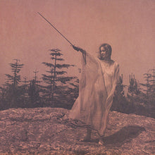 Load image into Gallery viewer, Unknown Mortal Orchestra | II (New)
