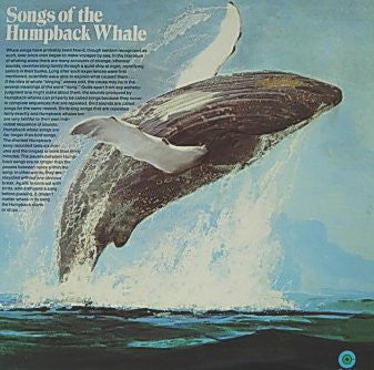 Humpback Whale | Songs Of The Humpback Whale