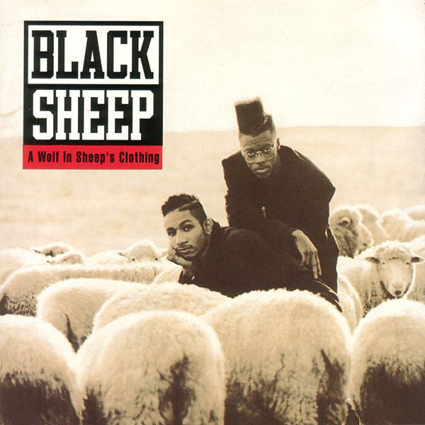 Black Sheep | A Wolf In Sheep's Clothing (New)