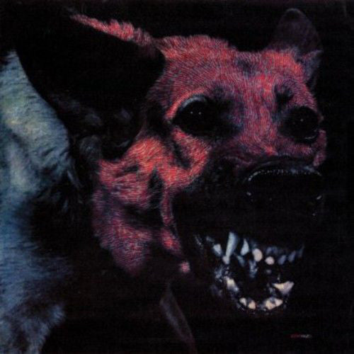 Protomartyr (2) | Under Color Of Official Right  (New)