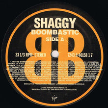 Load image into Gallery viewer, Shaggy | Boombastic
