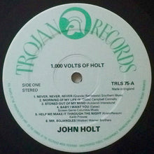 Load image into Gallery viewer, John Holt | 1000 Volts Of Holt (New)
