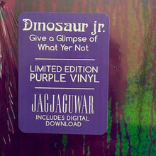 Load image into Gallery viewer, Dinosaur Jr. | Give A Glimpse Of What Yer Not (New)
